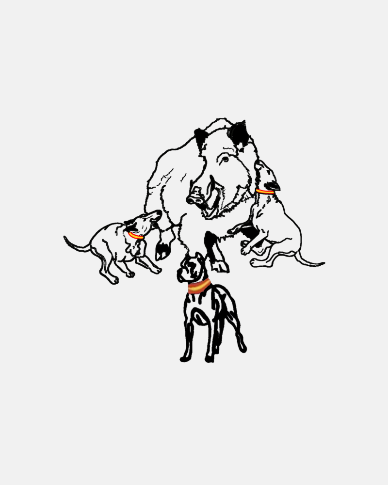 Pegatinas Personalizadas