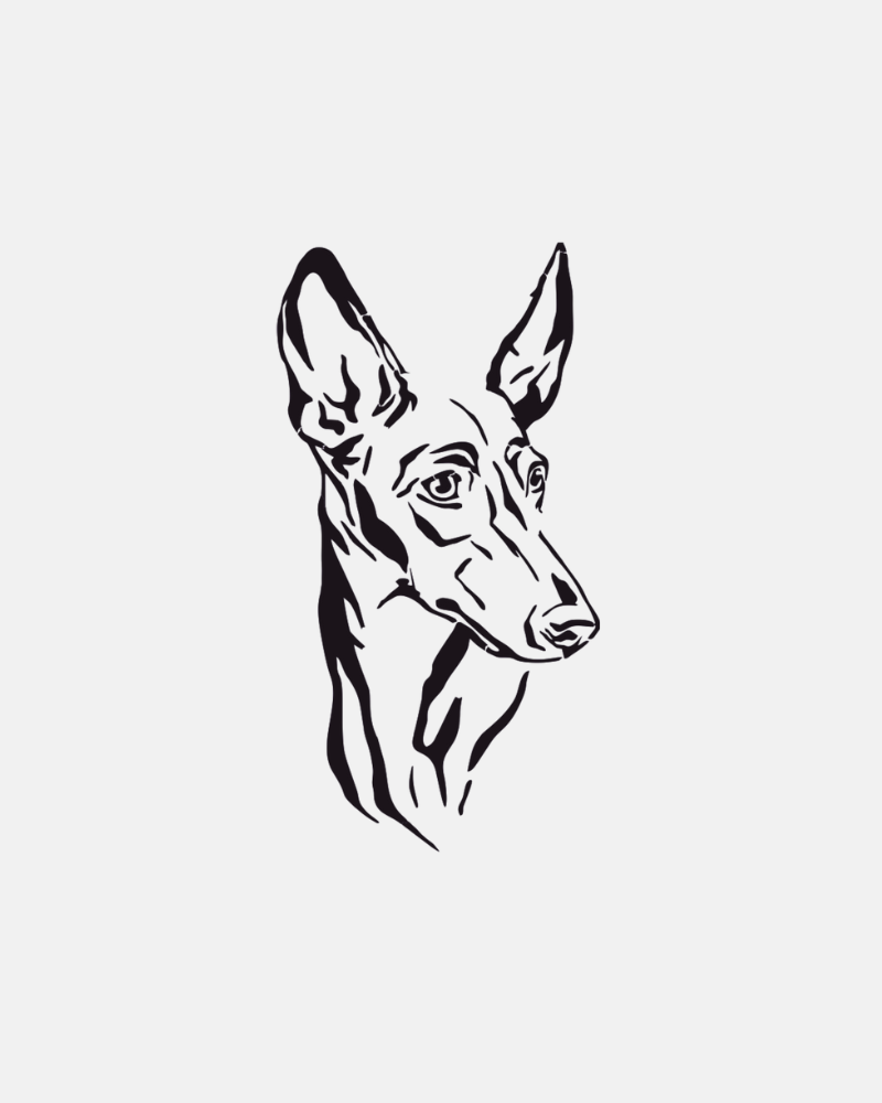 Pegatinas Personalizadas