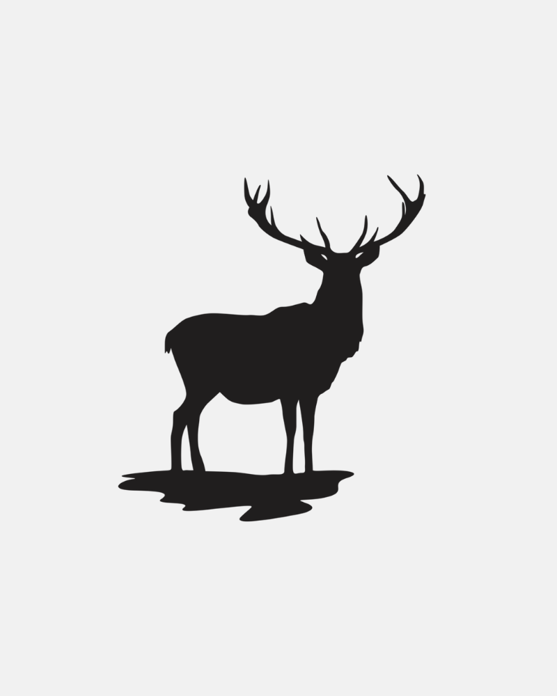 Pegatinas Personalizadas