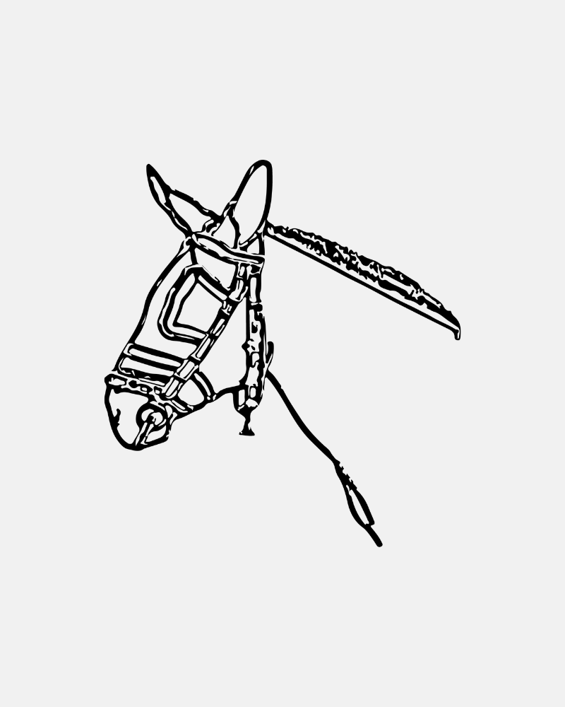 Pegatinas Personalizadas