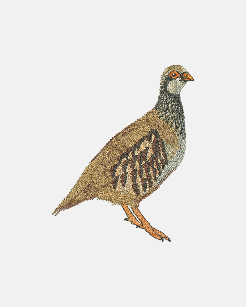 Pegatinas Personalizadas